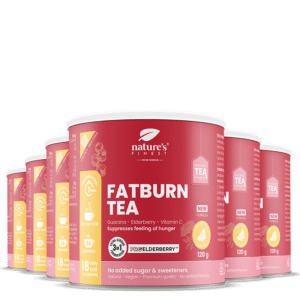 FatBurn Tea 6x paketas