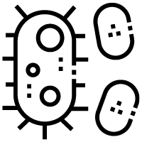 DUK