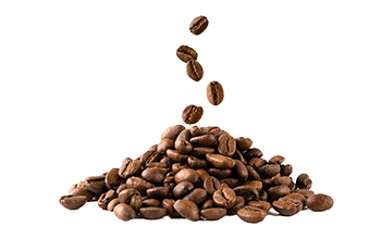 Tirpioji kava (Coffea arabica L.)