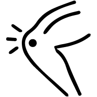 DUK