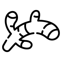 DUK