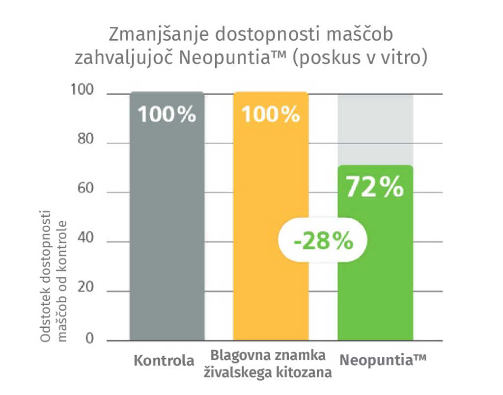 Produkto parinkties vaizdas