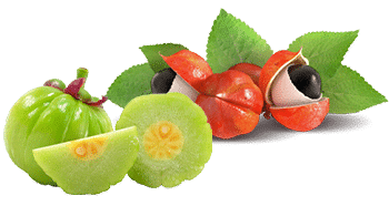 Guaranos ir Garcinia Cambogia
