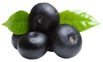 Acai uogos