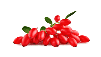 Rebersa® (berberino ekstraktas)