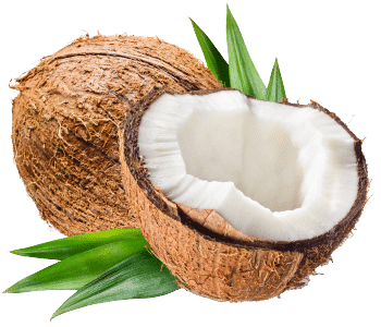 Ypač tyras kokosų aliejus