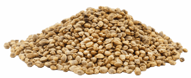 Kanapių baltymai