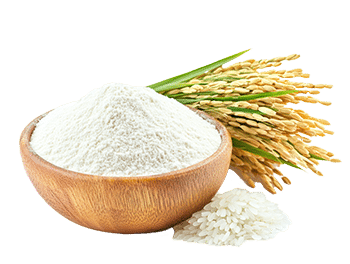Ryžių miltai (Oryza sativa)